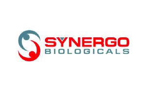 logo-synergo@3x-100